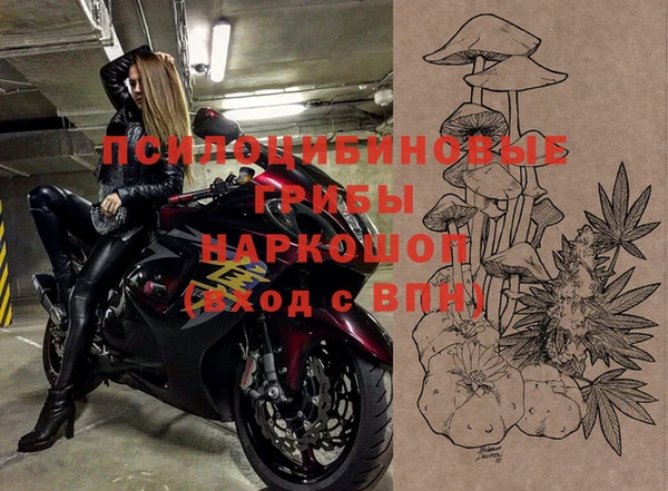 МДПВ Вязники