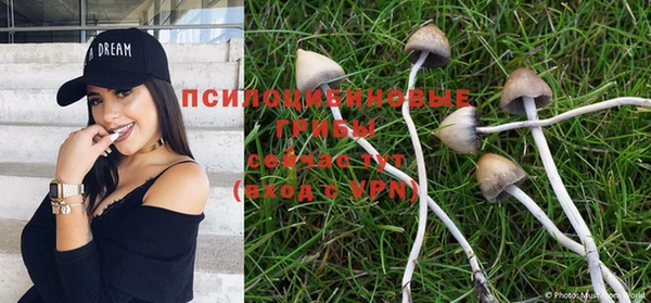 МДПВ Вязники