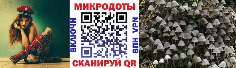 Купить где  Канаш  Галлюциногенные грибы Psilocybine cubensis 